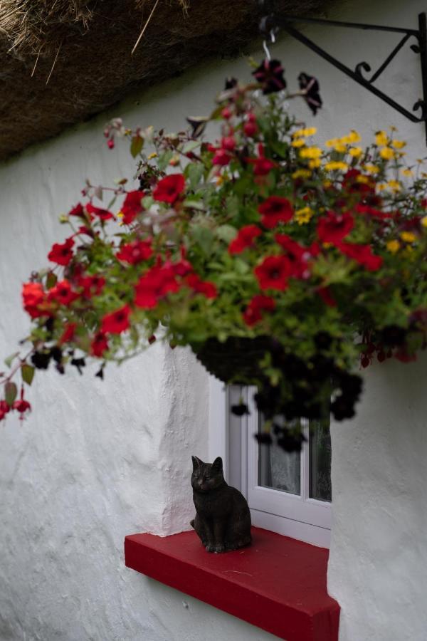 Keenaghan Cottage Belleek Exteriér fotografie